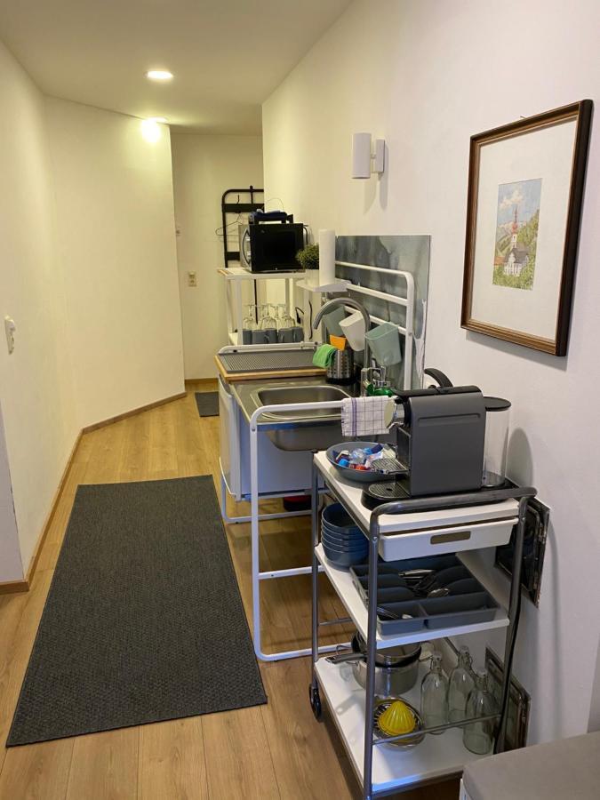 הלשטאדט Glueck Am See - Apartment Mit Seezugang מראה חיצוני תמונה